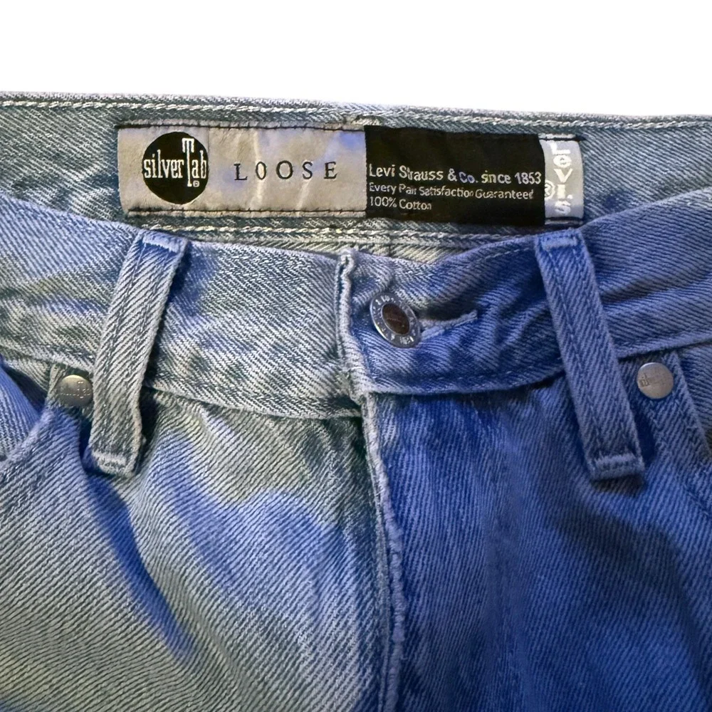 Levis levis silvertab